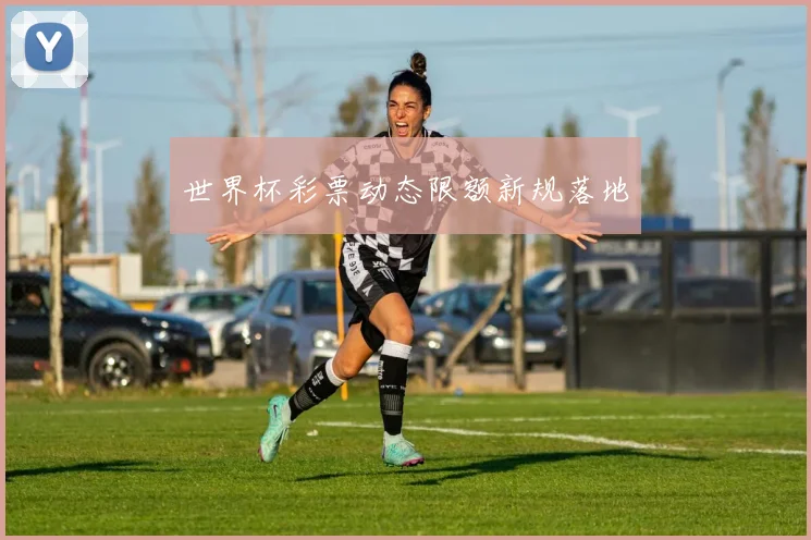 世界杯彩票动态限额新规落地
