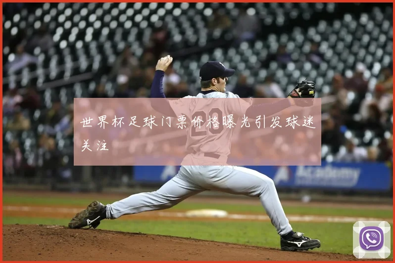 世界杯足球门票价格曝光引发球迷关注