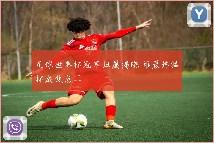 足球世界杯冠军归属揭晓 谁最终捧杯成焦点_1