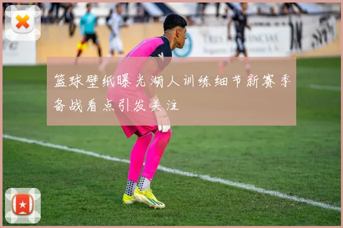 篮球壁纸曝光湖人训练细节新赛季备战看点引发关注