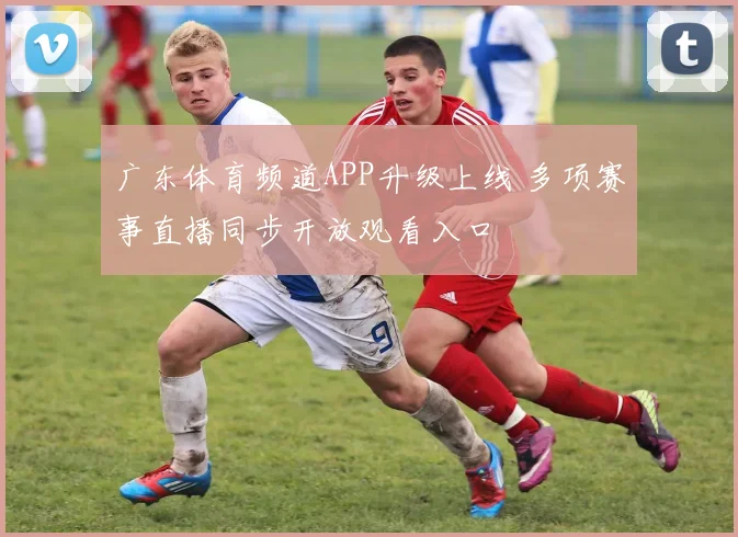 广东体育频道APP升级上线 多项赛事直播同步开放观看入口