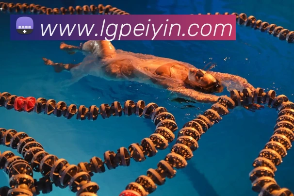 球赛押注app官网平台生态图